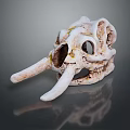 Ancient Animal Skull Fossil With Long Tusks And Weathered Mossy Surface