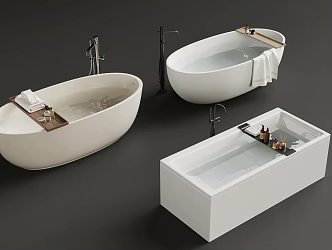 Modern Bathtub 3d model