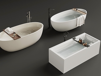 Modern Bathtub 3d model