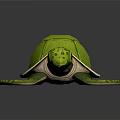 Turtle Cartoon Turtle Snapping Turtle 3d model