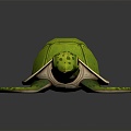 Turtle Turtle Cartoon Turtle Snapping Turtle 3d model