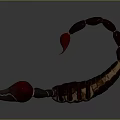 Scorpion With Black Body Red Claws And Curved Red Stinger On Gray Background