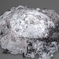 Natural Decorative Garden Ornament Irregular Shaped With Moss Covered Black Grey Textures
