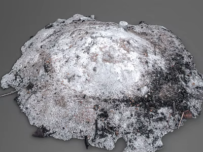 Natural Decorative Garden Ornament Irregular Shaped With Moss Covered Black Grey Textures 3d model