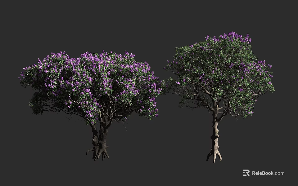 Purple Flowering Trees With Clearly Visible Trunks And Roots Against Gray Background 3d model 