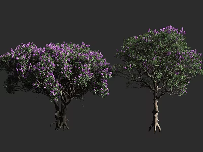 Purple Flowering Trees With Clearly Visible Trunks And Roots Against Gray Background 3d model