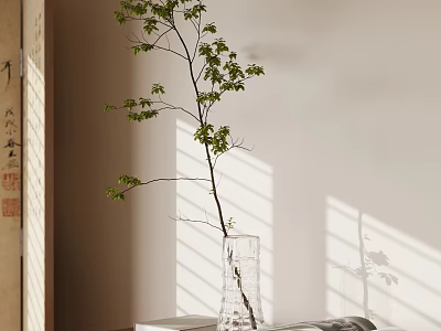 Aquatic Plant Branch in Clear Glass Vase with Green Leaves Light Wall and Sunlight Shadows 3d model