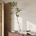 Aquatic Plant Branch in Clear Glass Vase with Green Leaves Light Wall and Sunlight Shadows