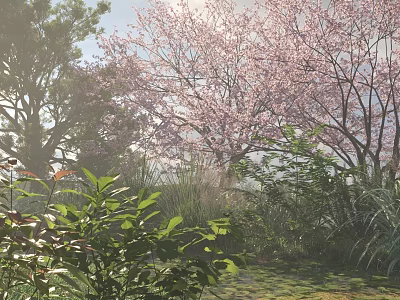 Lush Green Shrubs Surrounded by Pink Flowering Trees in Sunlit Natural Garden 3d model