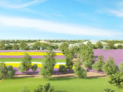 Scenic Rural Flower Fields With Purple Yellow Blooms Green Trees Blue Sky And Path 3d model