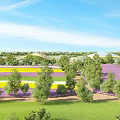 Scenic Rural Flower Fields With Purple Yellow Blooms Green Trees Blue Sky And Path