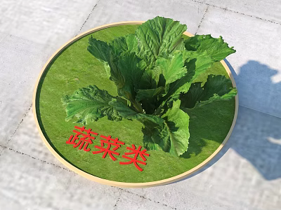 Fresh Green Vegetables with Lush Leaves on Round Display Tray Green Base 3d model