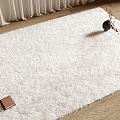 Modern Carpet 3d model