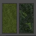 Indoor Green Plant Wall Design With Various Ferns And Decorative Moss