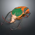 Colorful beetle a vibrant flying insect with orange green exoskeleton and curved horns