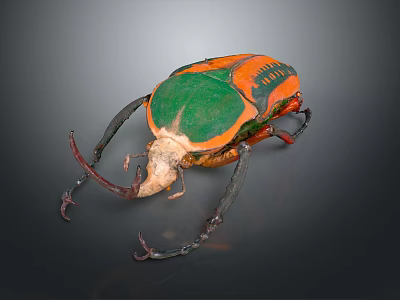 Colorful beetle a vibrant flying insect with orange green exoskeleton and curved horns 3d model