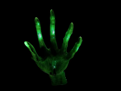 Glowing Green Human Hand Prop With Lifelike Fingers And Spooky Halloween Glow 3d model