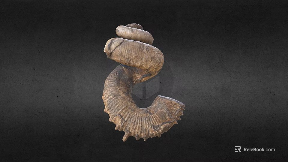 Unique Ancient Spiral Seashell Fossil With Detailed Texture On Dark Background 3d model 