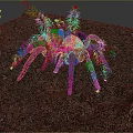Large Yellow Black Spider On Red Soil Ground In Natural Habitat Setting