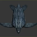 Modern Turtle Cartoon Turtle 3d model