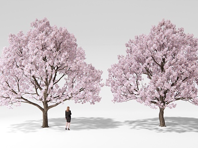 Cherry Blossom Tree Landscape Tree Cherry Blossom 3d model