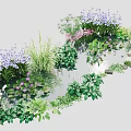 Aquatic Plants in Pond with Green Foliage Purple Pink Flowers and Stones