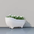 Bathtub Shaped White Bonsai Pot With White Flowers And Green Grass On Gray Surface Against Gray Wall
