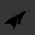 Close Up View Of Butterfly And Colorful Cube On Gray Background Scene