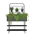 Black Metal Multi Tiered Shelf with Various Hanging and Trailing Potted Plants