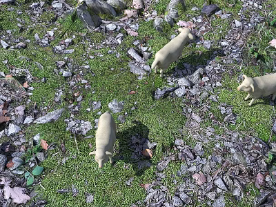 Reptiles In Their Natural Environment With Moss Rocks And Leaves 3d model