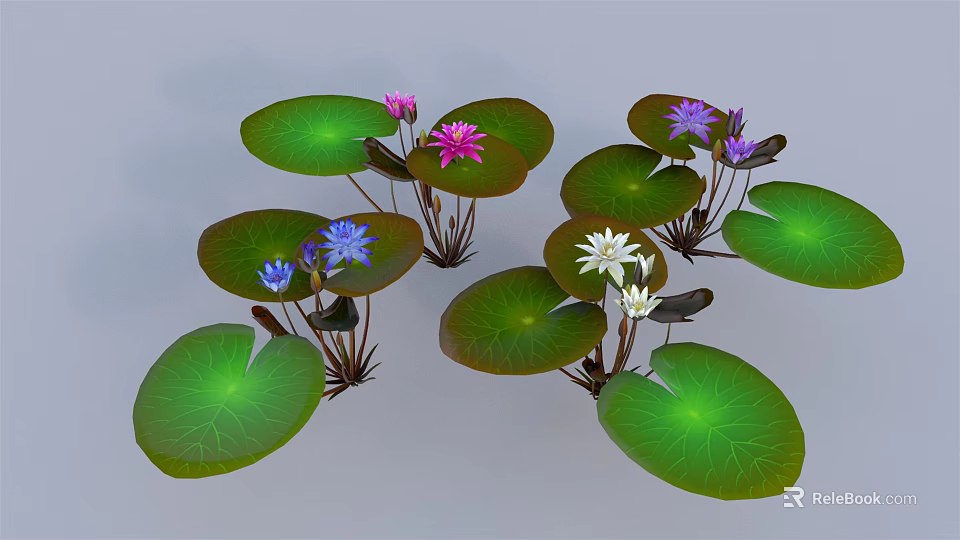 Vibrant Green Lotus Leaves with Pink Purple Blue and White Lotus Flowers 3d model 
