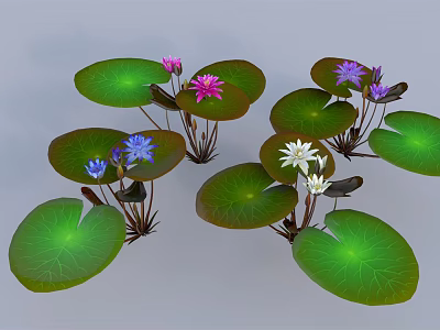 Vibrant Green Lotus Leaves with Pink Purple Blue and White Lotus Flowers 3d model
