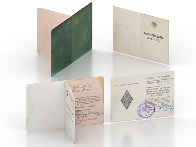 Official Travel Documents Including Passport Visa And Stamped Papers 3d model