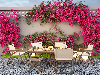 Outdoor Plant Combination with Vibrant Pink Bougainvillea on Wall for Dining Area Decor 3d model