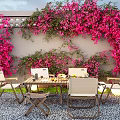 Outdoor Plant Combination with Vibrant Pink Bougainvillea on Wall for Dining Area Decor