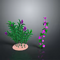 Potted Plants With Green Leaves Purple And Pink Flowers On Base