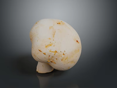 Fresh White Mushroom with Brown Spots Close Up View on Gray Background 3d model
