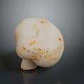 Fresh White Mushroom with Brown Spots Close Up View on Gray Background