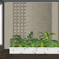 Bonsai Potted Plants in Long White Indoor Planter with Various Green Foliage and Grid Wall
