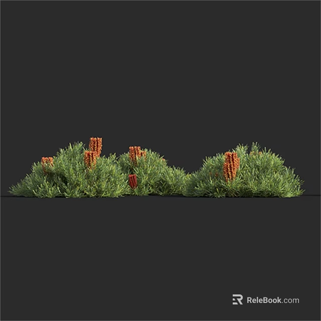 Lush Green Shrubs With Vibrant Red Flowering Spikes In Garden Landscaping 3d model 