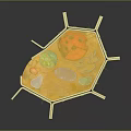 Colored Cell Structure Model Medical Device for Medical Education with Hexagonal Base and Components 3d model