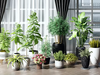 Various Indoor Potted Plants In Different Style Pots For Home Decor 3d model