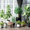 Various Indoor Potted Plants In Different Style Pots For Home Decor