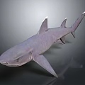 Realistic 3D Rendering Of Grayish Purple Shark With Sharp Fins And Detailed Body Structure