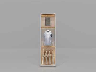 Modern Wardrobe With Glass Doors Hanging Shirt And Shoe Storage Shelves Design 3d model