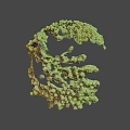Detailed Green Branched Coral Like Biological Structure Against Black Background