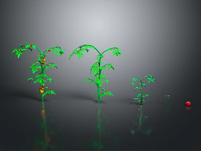 Decorative Green Plants With Red Fruits In Various Sizes For Home Decoration 3d model