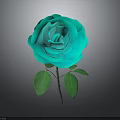 Turquoise Rose Plant With Vibrant Layered Petals Fresh Green Leaves And Stem