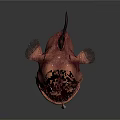 Red Anglerfish With Sharp Teeth And Fishing Lure On Head Deep Sea Creature