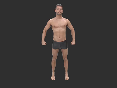 Sattler 15 single sofa lounge chair 3d model